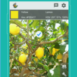 Las 8 mejores aplicaciones de combinación de colores para Android y iPhone